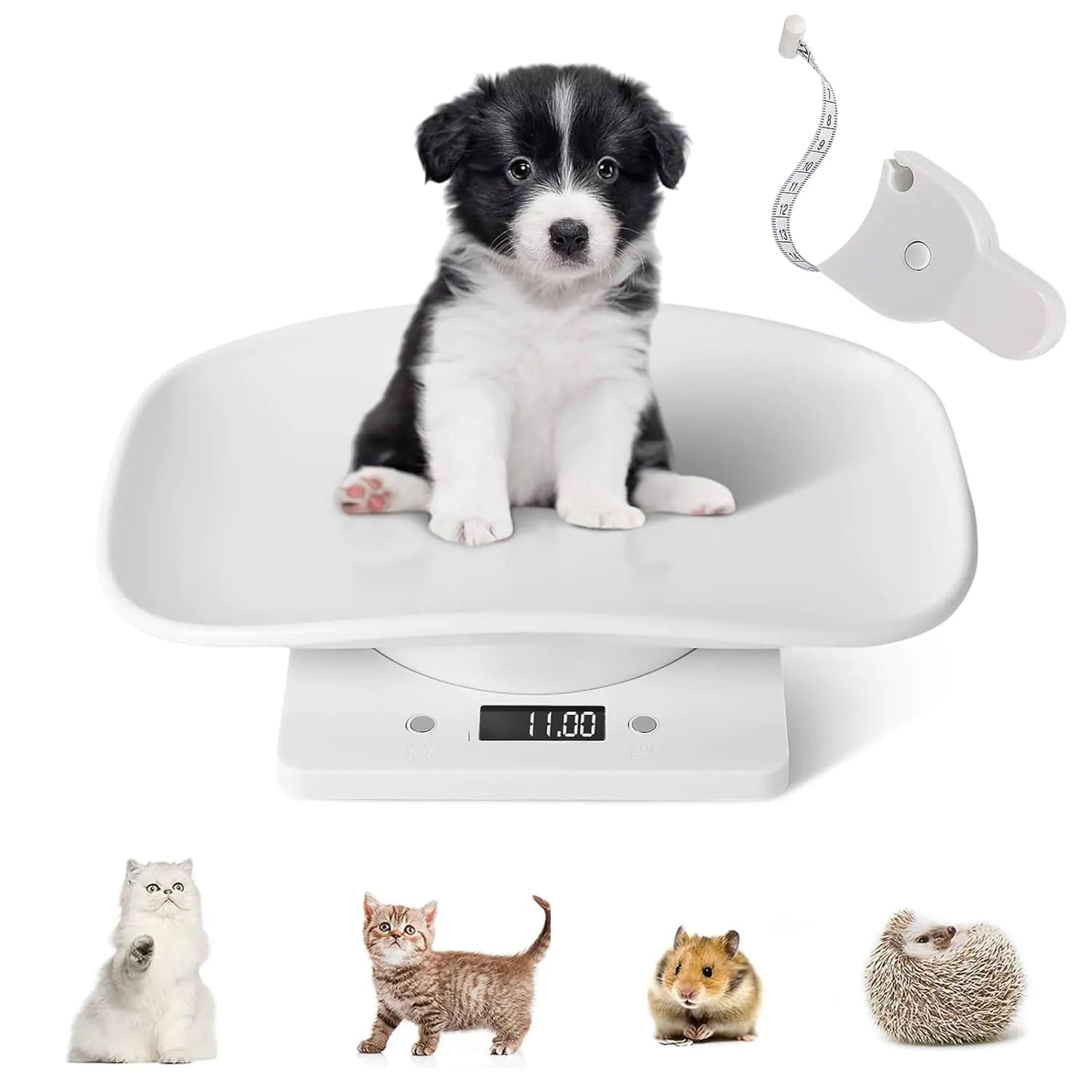 Digital Small Animals Scales
