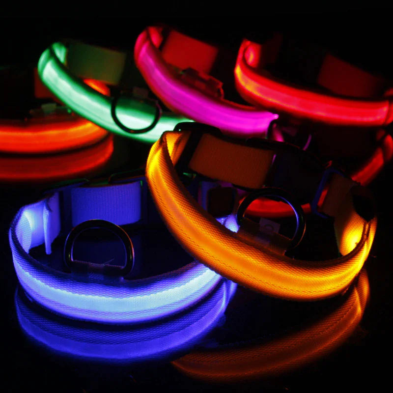 GlowPup LED Safety Dog Collar