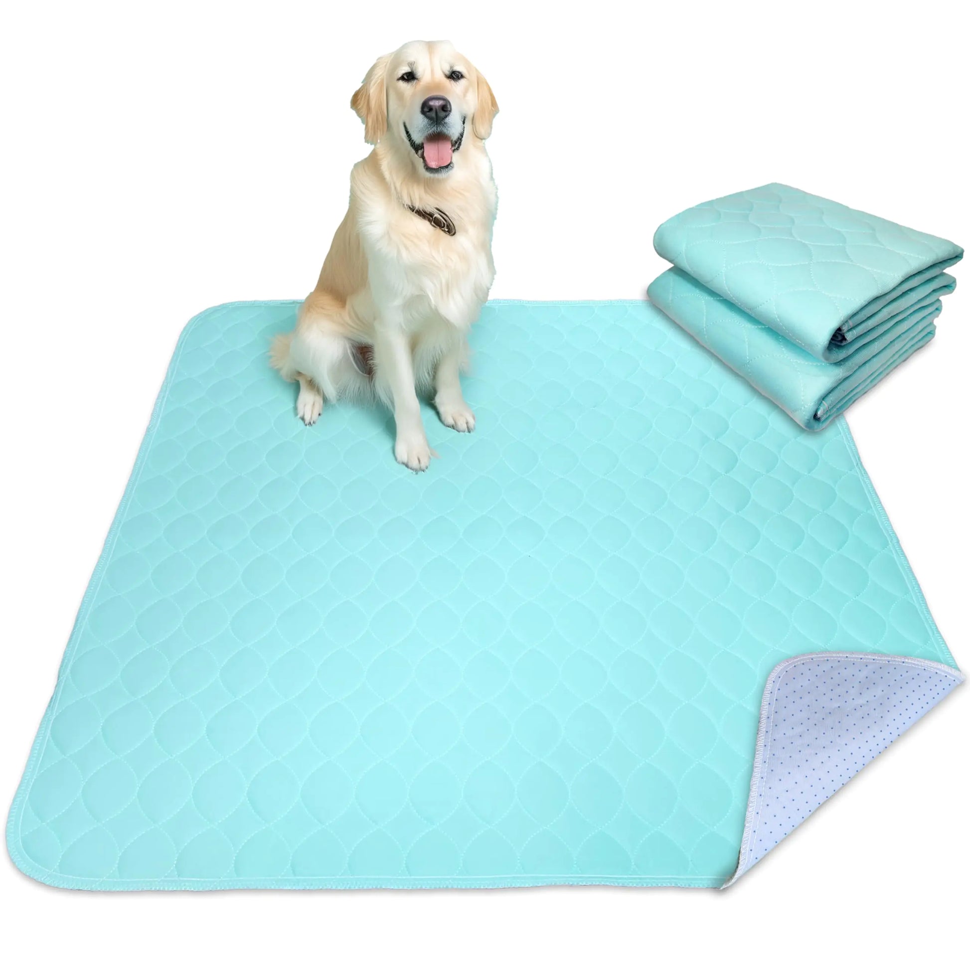 Washable Pee Pads for Dogs