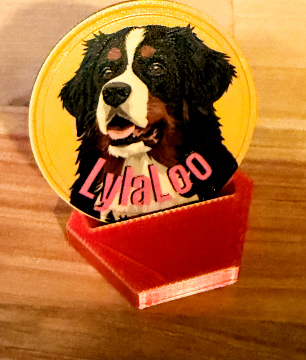 Actual photo of custom pet challenge coin front with Bernese Mountain Dog artwork and LylaLoo name
