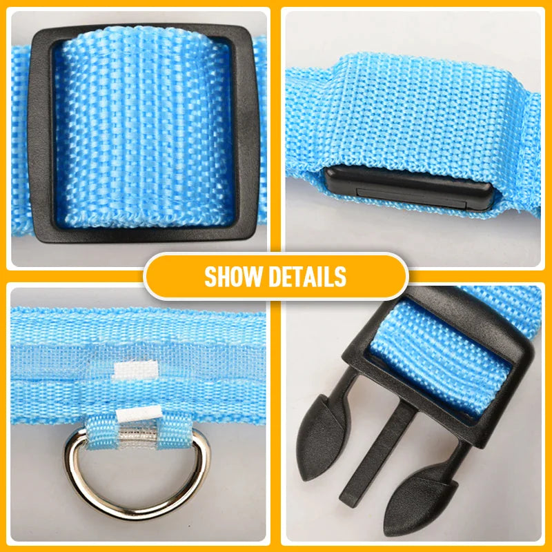 GlowPup LED Safety Dog Collar