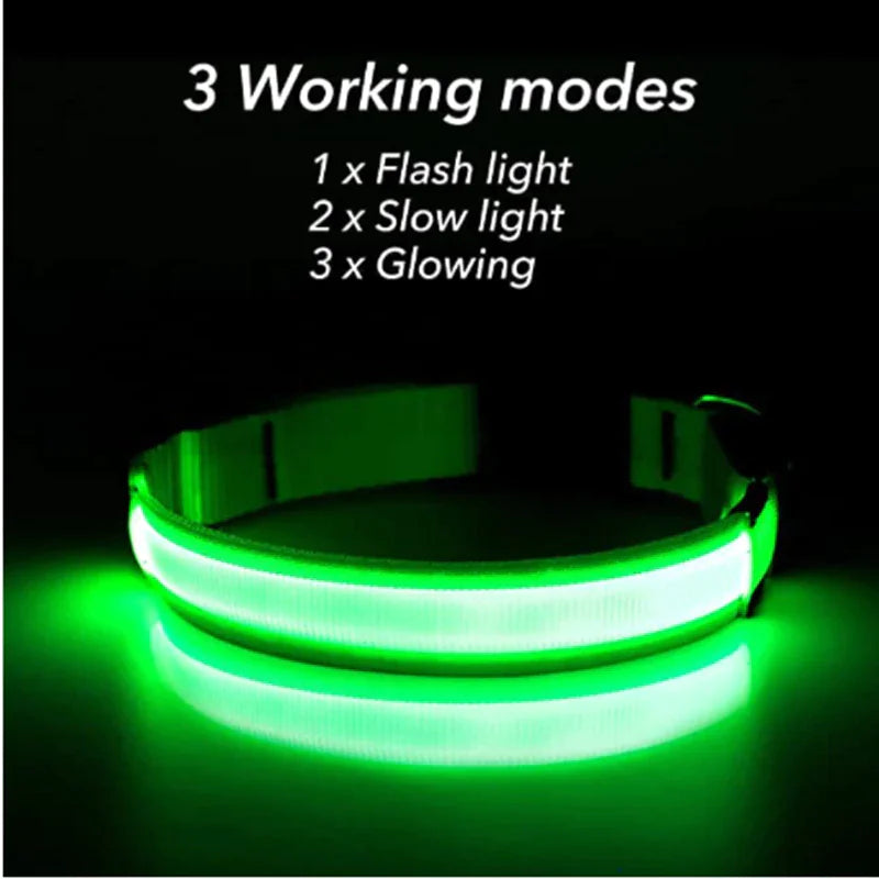 GlowPup LED Safety Dog Collar